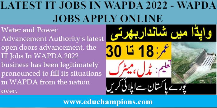 IT Jobs In WAPDA